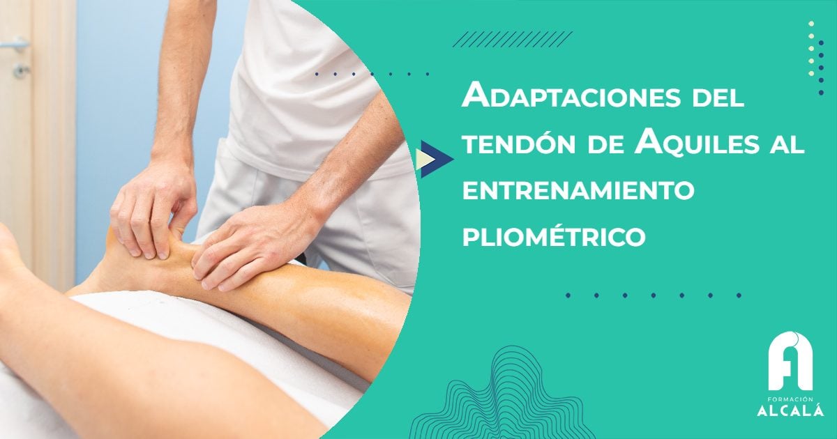 Adaptaciones del tendón de Aquiles al entrenamiento pliométrico