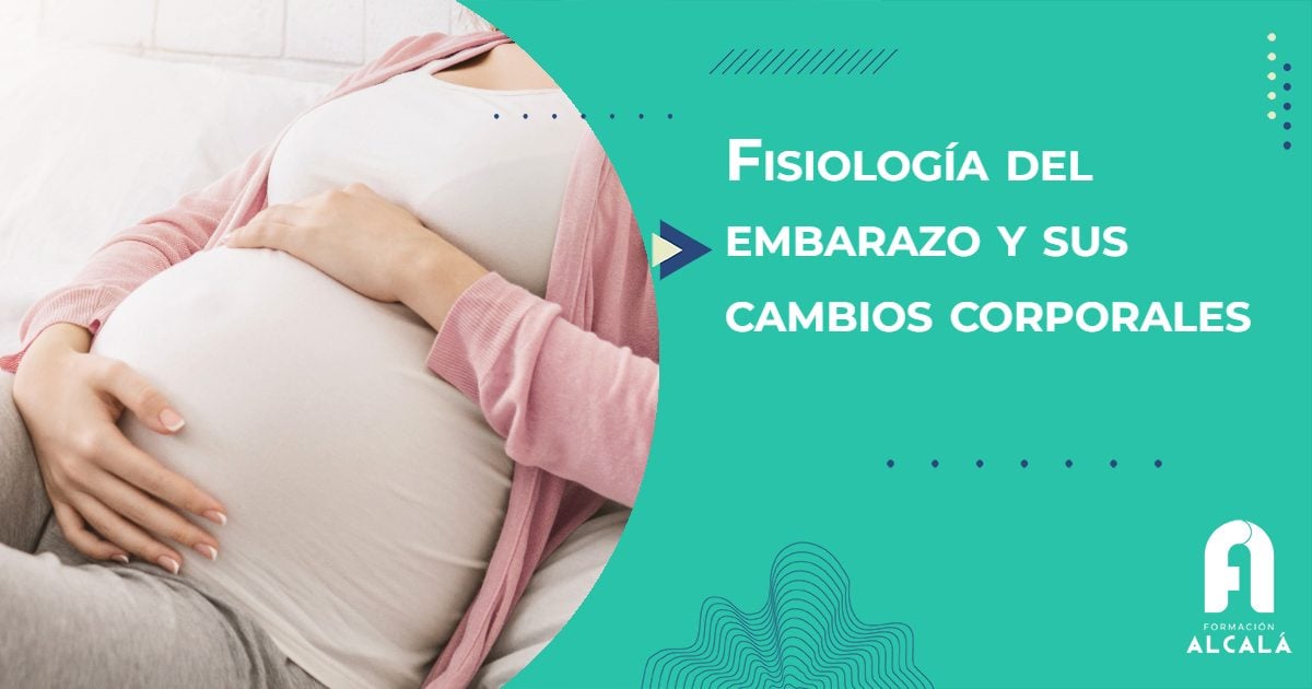 Imagen de Fisiología del embarazo y sus cambios corporales